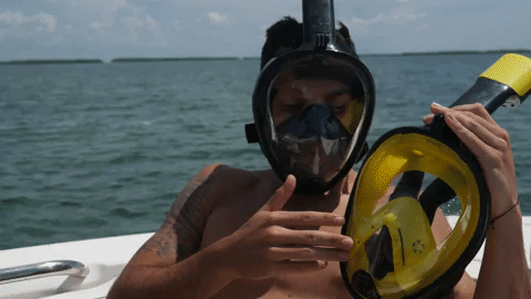 Best Underwater Snorkles Online In USA | Splashore